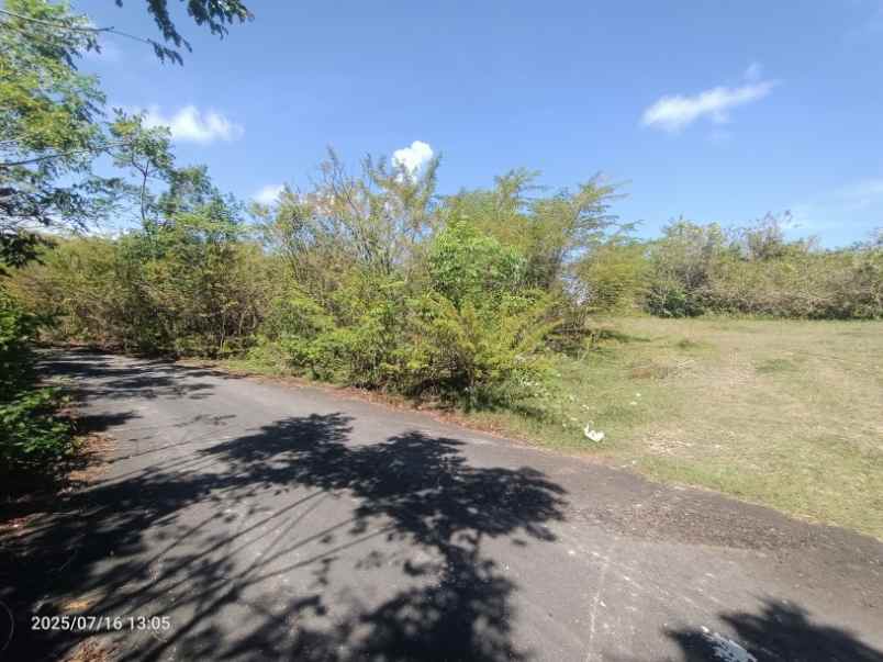 disewakan tanah kutuh badung bali