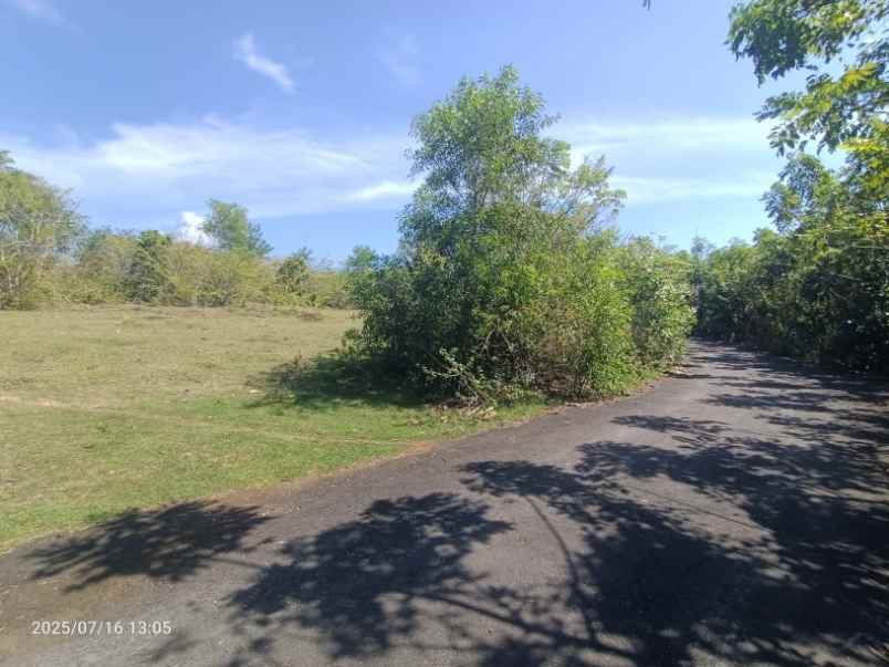 disewakan tanah kutuh badung bali