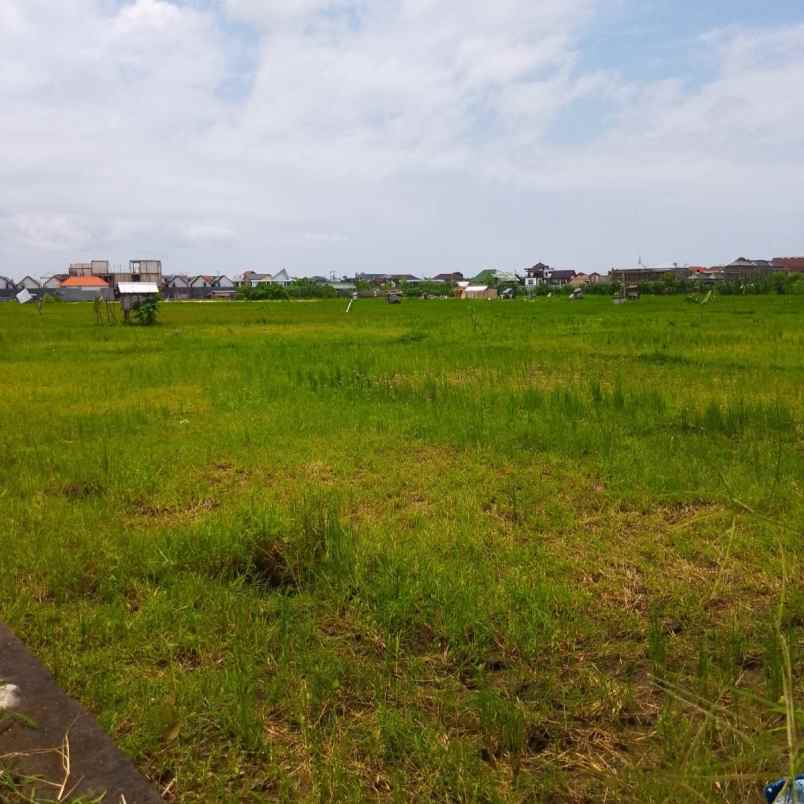 disewakan tanah padangsambian klod