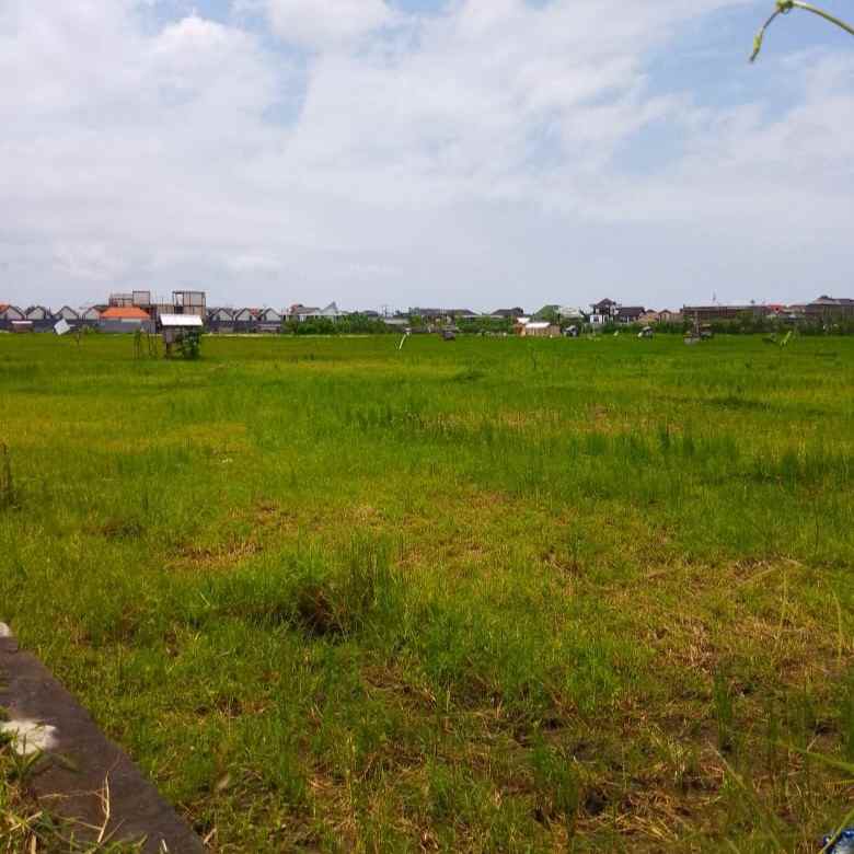 disewakan tanah padangsambian klod