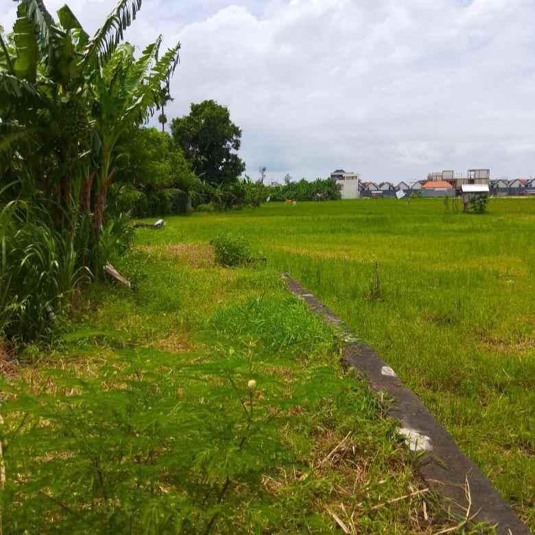 disewakan tanah padangsambian klod