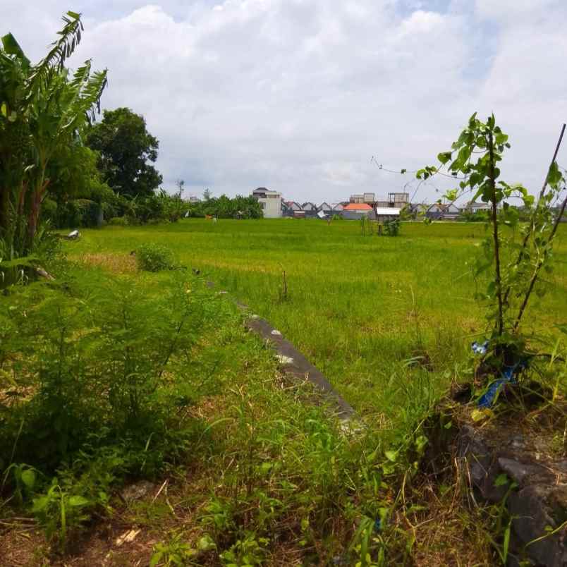 disewakan tanah padangsambian klod