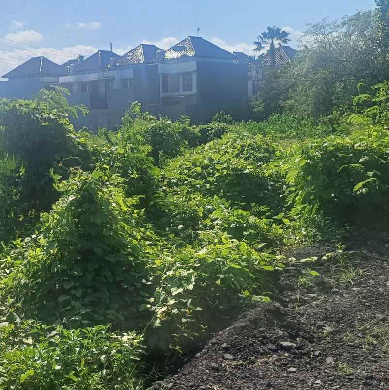 disewakan tanah padangsambian klod