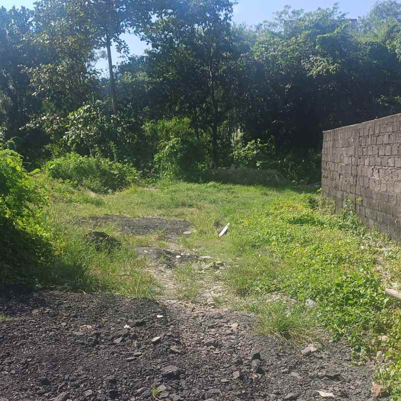 disewakan tanah padangsambian klod