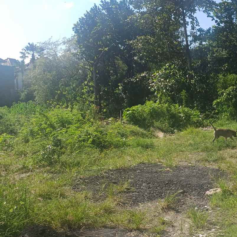 disewakan tanah padangsambian klod