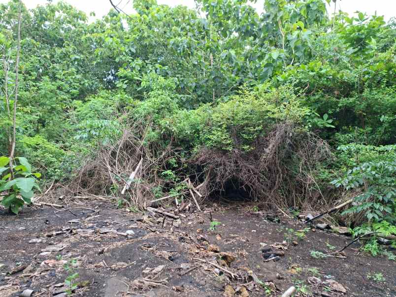 disewakan tanah pecatu badung bali