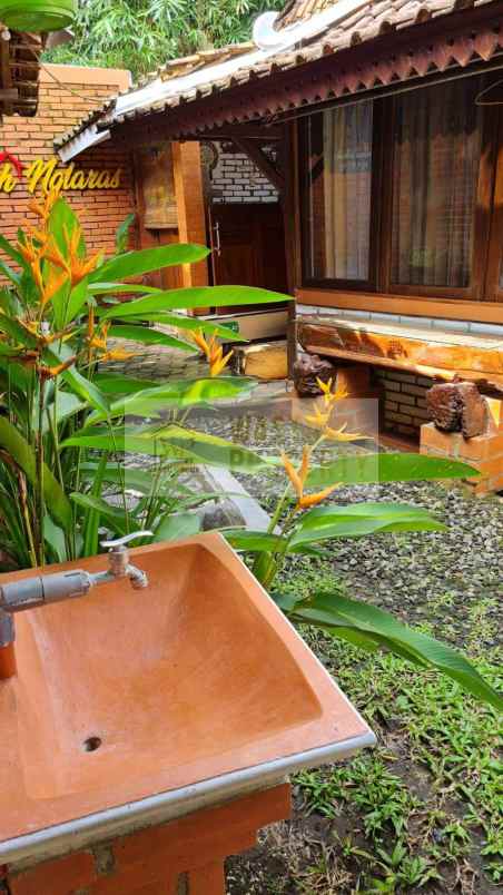 homestay etnik jawa dijual dekat charitas hospital