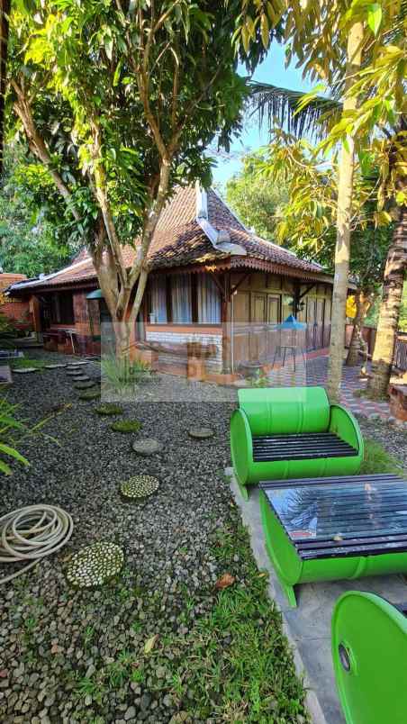 homestay etnik jawa dijual dekat charitas hospital