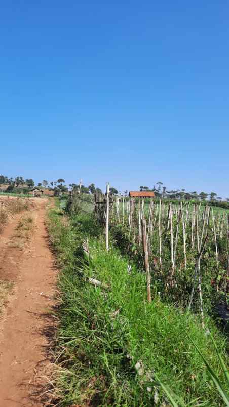 jual cepat tanah 420 m2