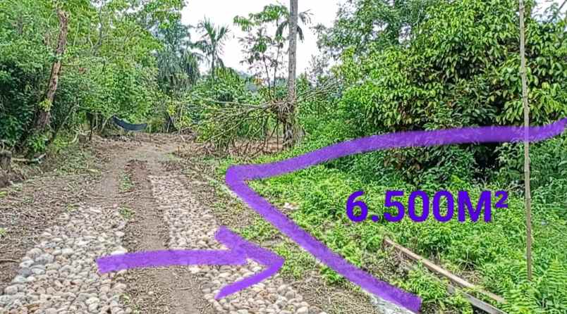 jual tanah 6 500m di bandar baru daerah pemukiman