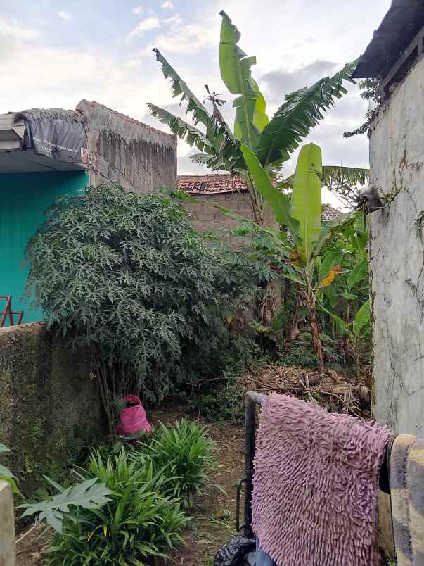 jual tanah kebun cocok untuk kos dan kontrakan