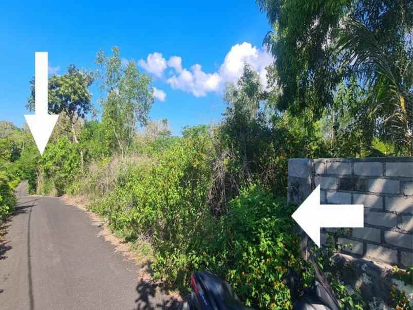 jual tanah kosong shm di jalan gayangsari badung bali