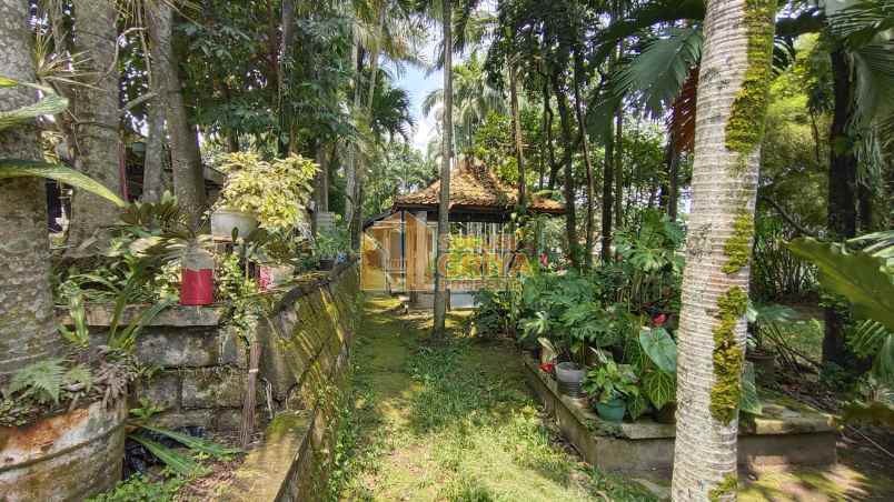 rumah jalan raya ciomas