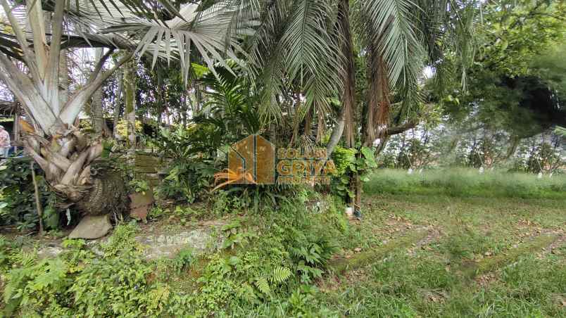 rumah jalan raya ciomas