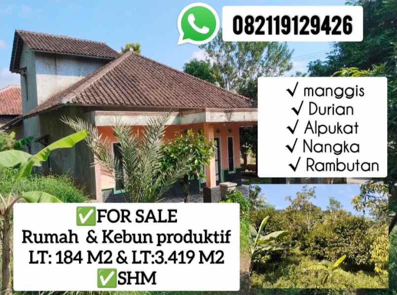 rumah kebun produktif subang jawa barat