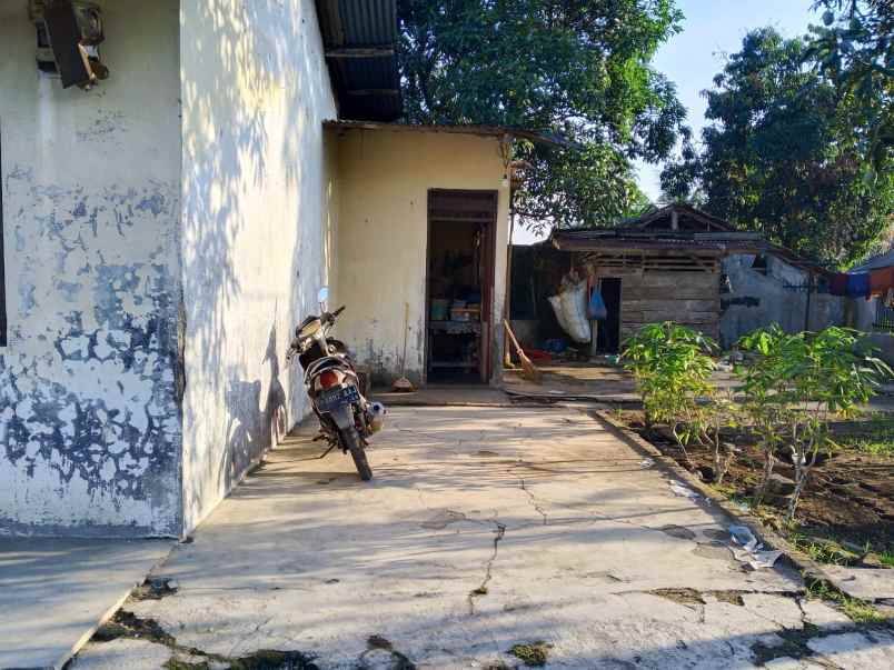 rumah minimalis dijual murah