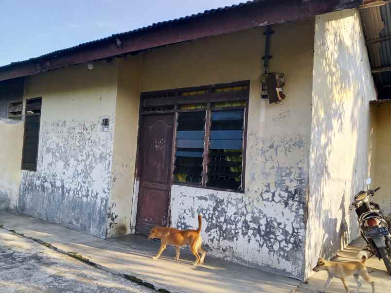 rumah minimalis dijual murah