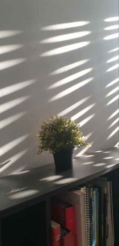 rumah murah cibubur jakarta timur 3 kamar tidur