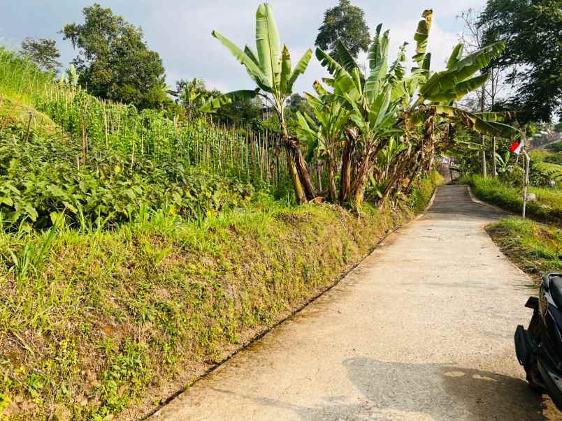 tanah 2320m view istimewa wisata ngargoyoso