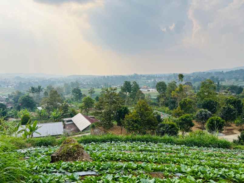 tanah 2320m view istimewa wisata ngargoyoso