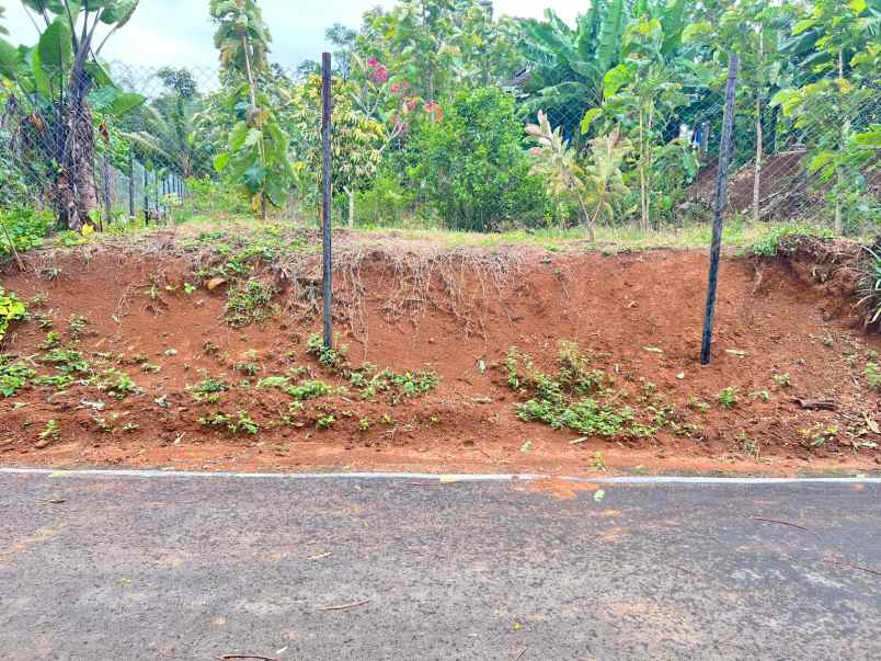 tanah 550m2 view persawahan karangpandan karanganyar