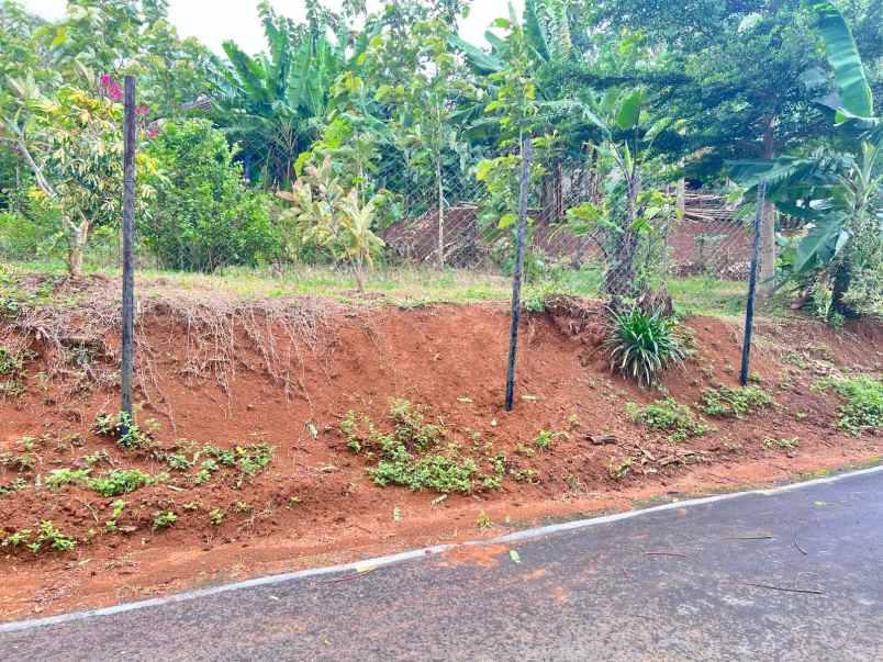 tanah 550m2 view persawahan karangpandan karanganyar