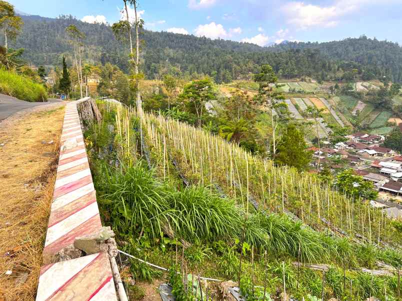 tanah 600m kemuning ngargoyoso karanganyar