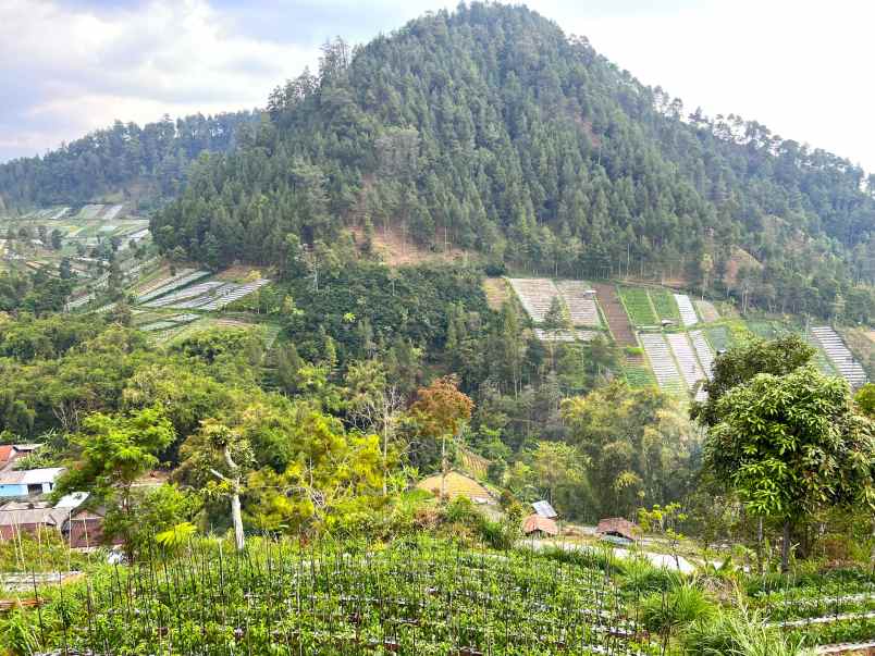 tanah 600m kemuning ngargoyoso karanganyar
