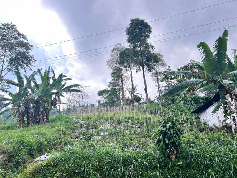 tanah 690m strategis timur pasar kemuning