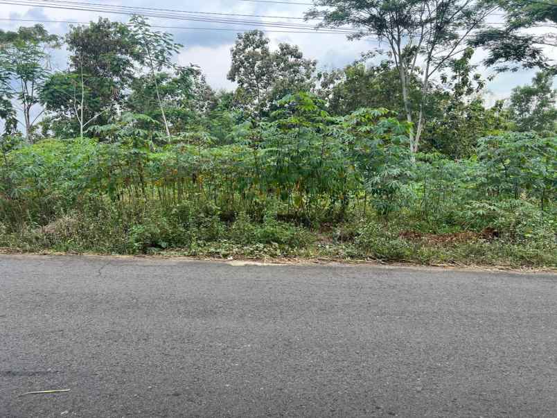 tanah 705m tepi jl raya kerjo ngargoyoso karanganyar