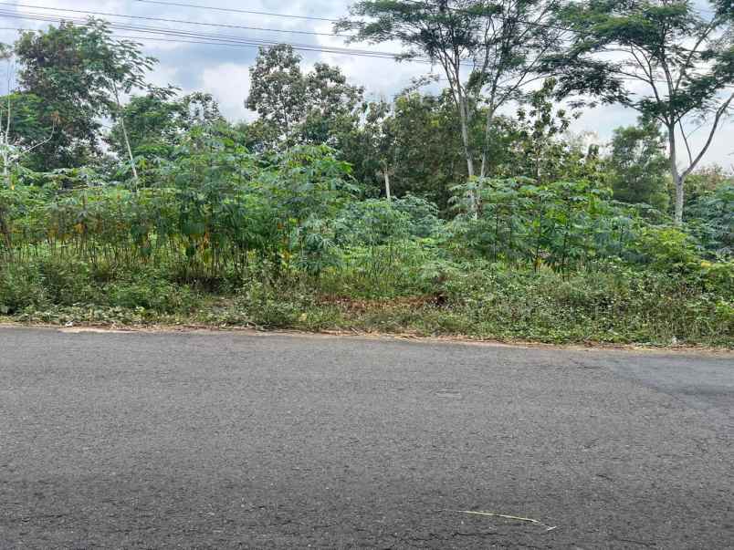 tanah 705m tepi jl raya kerjo ngargoyoso karanganyar