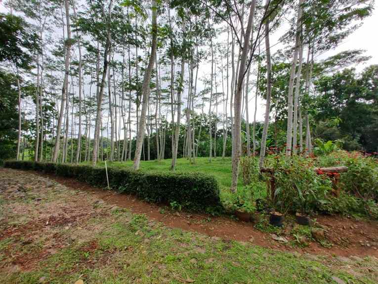 tanah barat pasar mojogedang