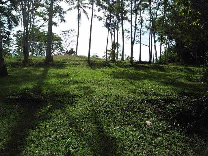 tanah bonian selemadeg tabanan bali