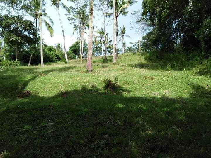tanah bonian selemadeg tabanan bali