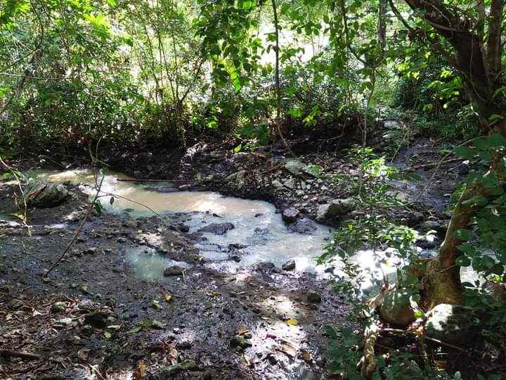 tanah bonian selemadeg tabanan bali