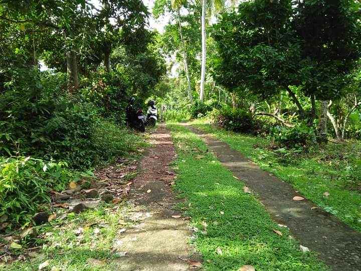 tanah bonian selemadeg tabanan bali