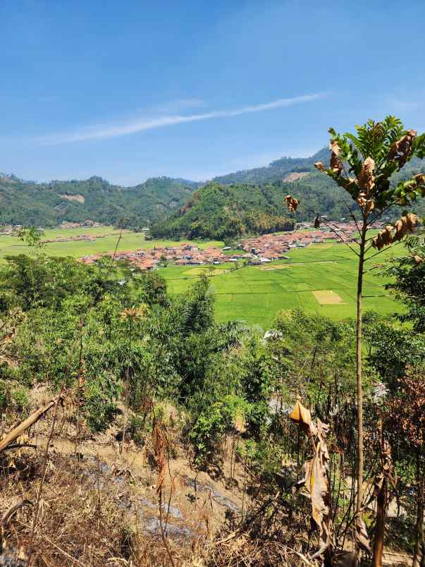 tanah ciwidey view indah harga murah