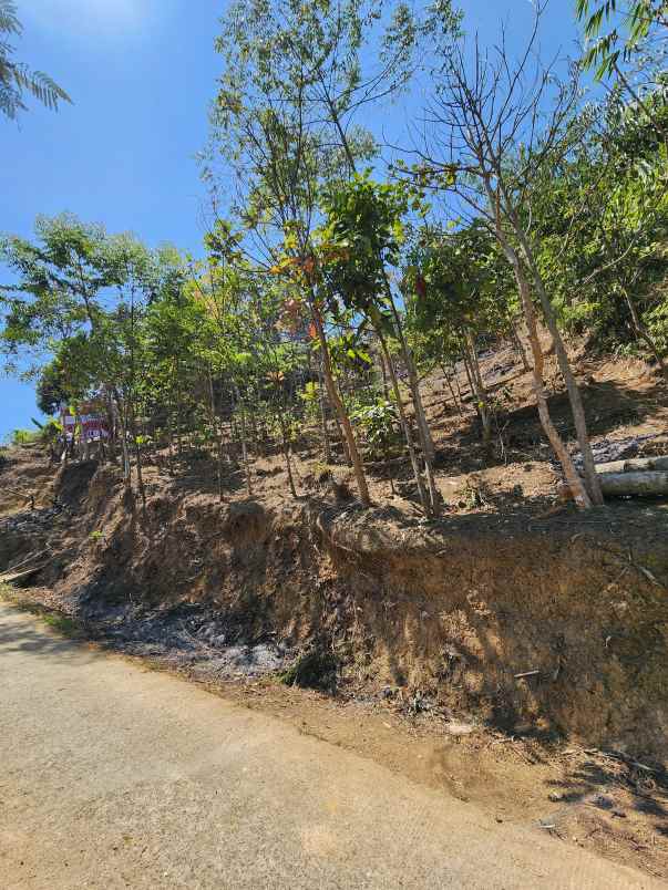 tanah ciwidey view indah harga murah