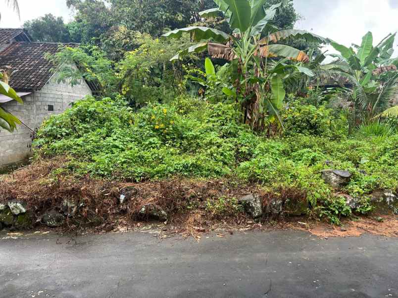 tanah datar 600m barat pasar karangpandan