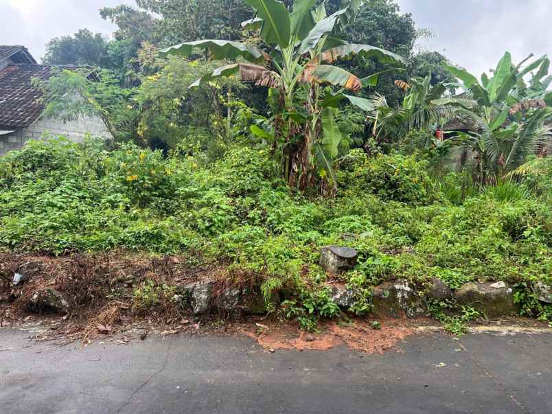 tanah datar 600m barat pasar karangpandan