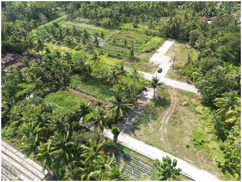 tanah dekat bandara yia dan terminal wates