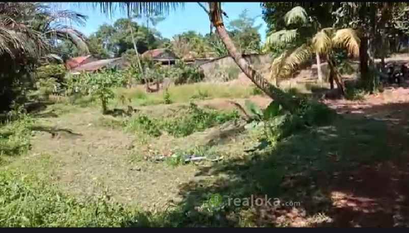 tanah duren mekar sawangan depok