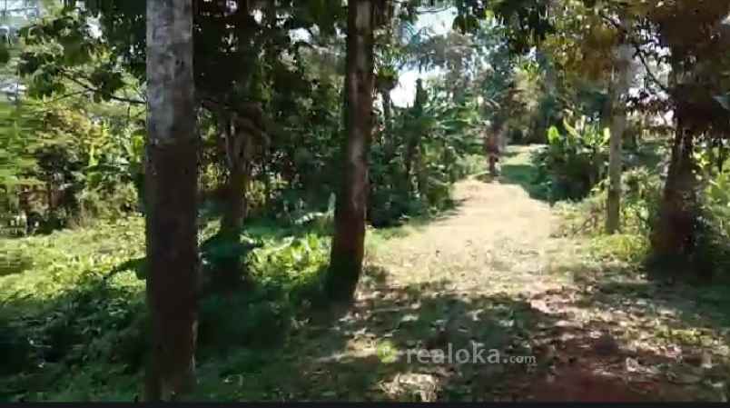 tanah duren mekar sawangan depok