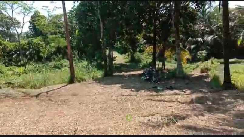 tanah duren mekar sawangan depok