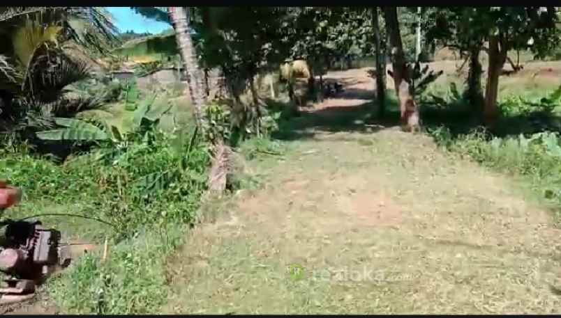 tanah duren mekar sawangan depok