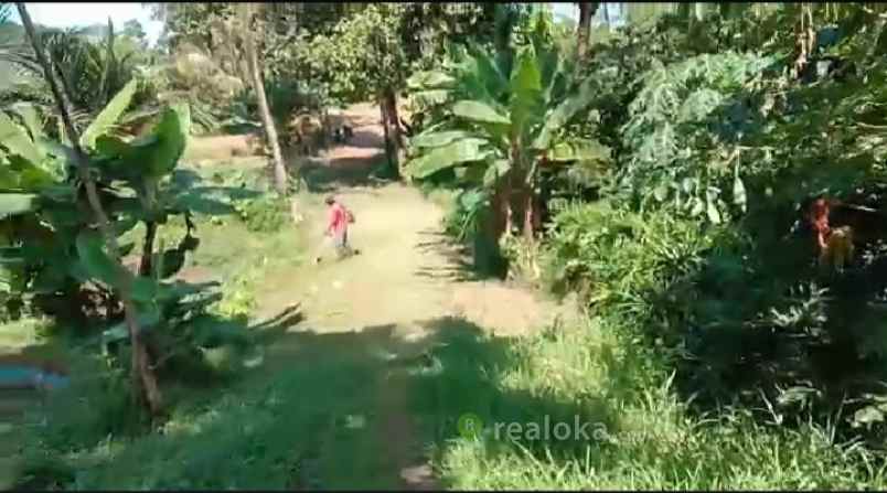 tanah duren mekar sawangan depok