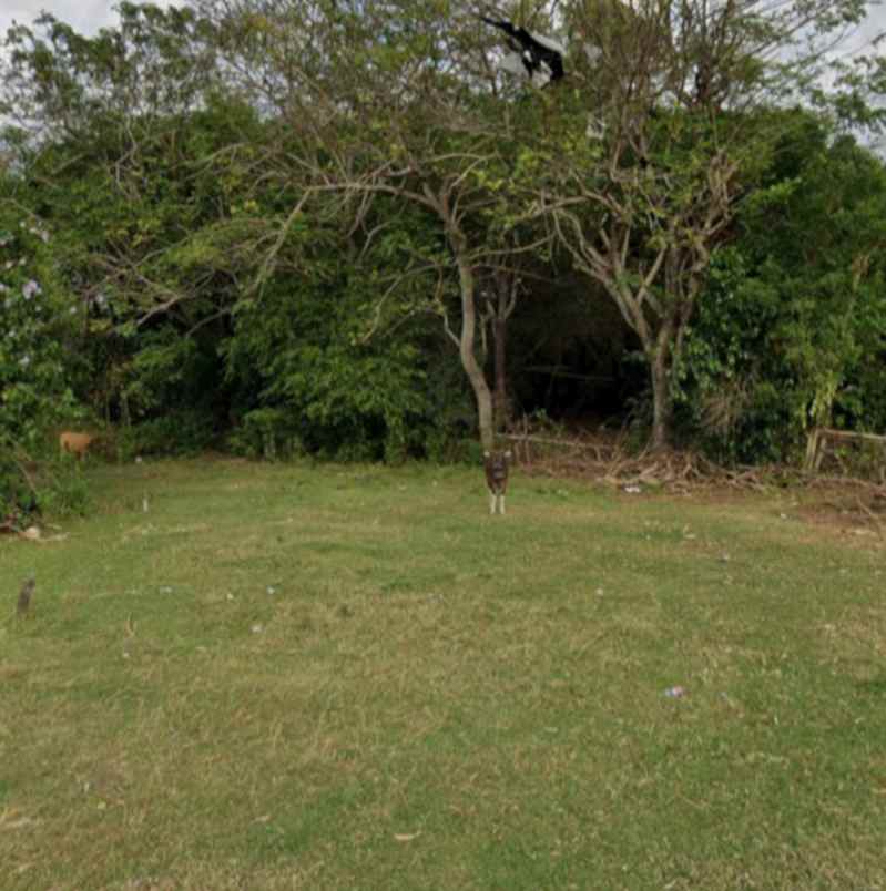 tanah gratis rumah ada imb di cargo denpasar