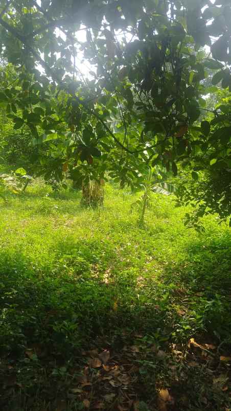 tanah insdustri dekat gerbang kalijati subang