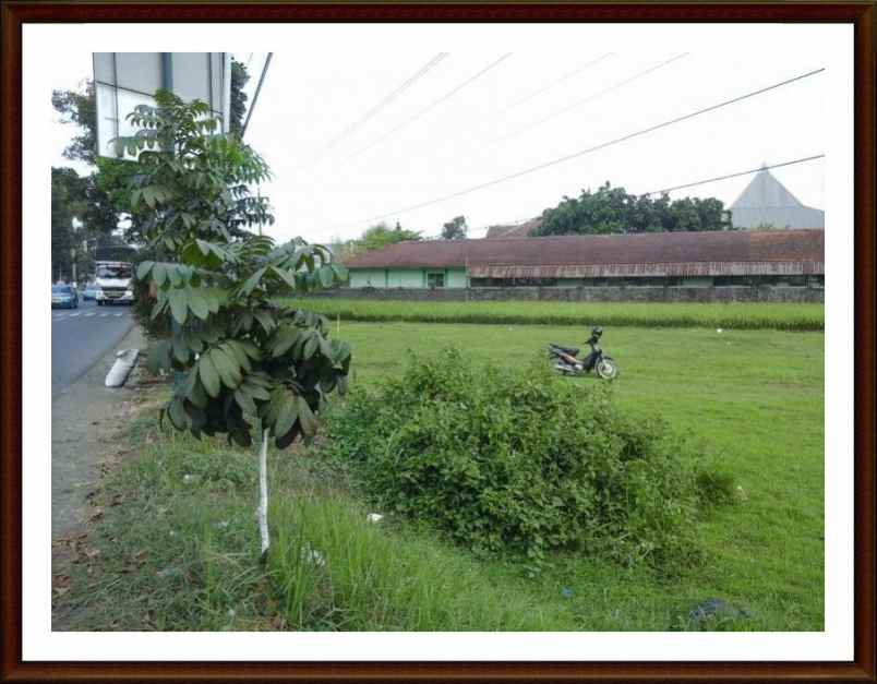 tanah jl suparjo rustam purwokerto