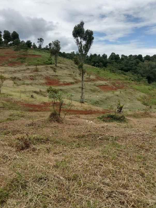 tanah kavling murah jalancagak subang